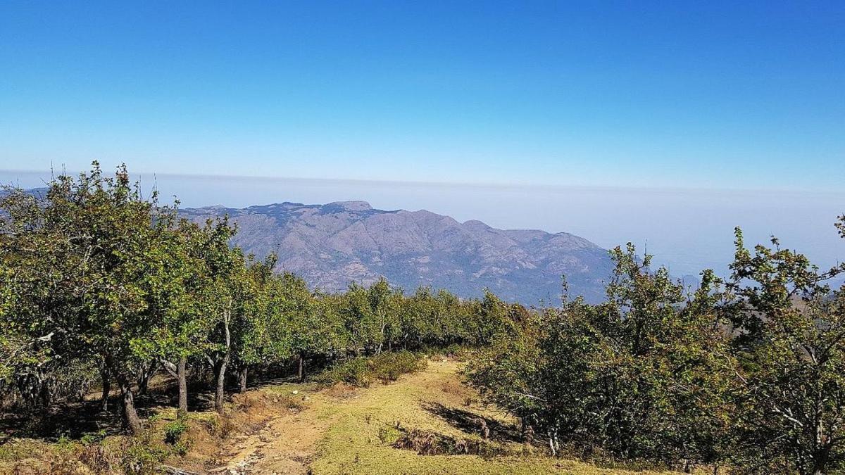 Starlight Hotels Kodai Кодайканал Экстерьер фото